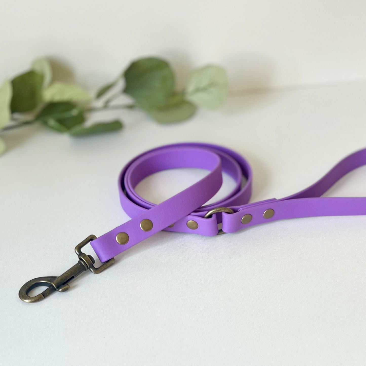 Purple biothane dog lead with antique brass hardware