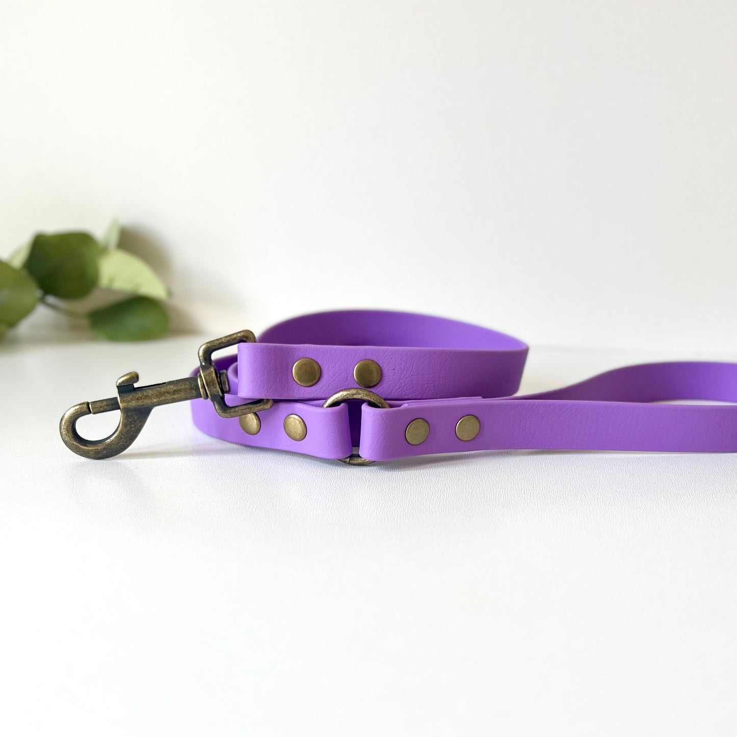 Purple biothane dog lead with antique brass hardware