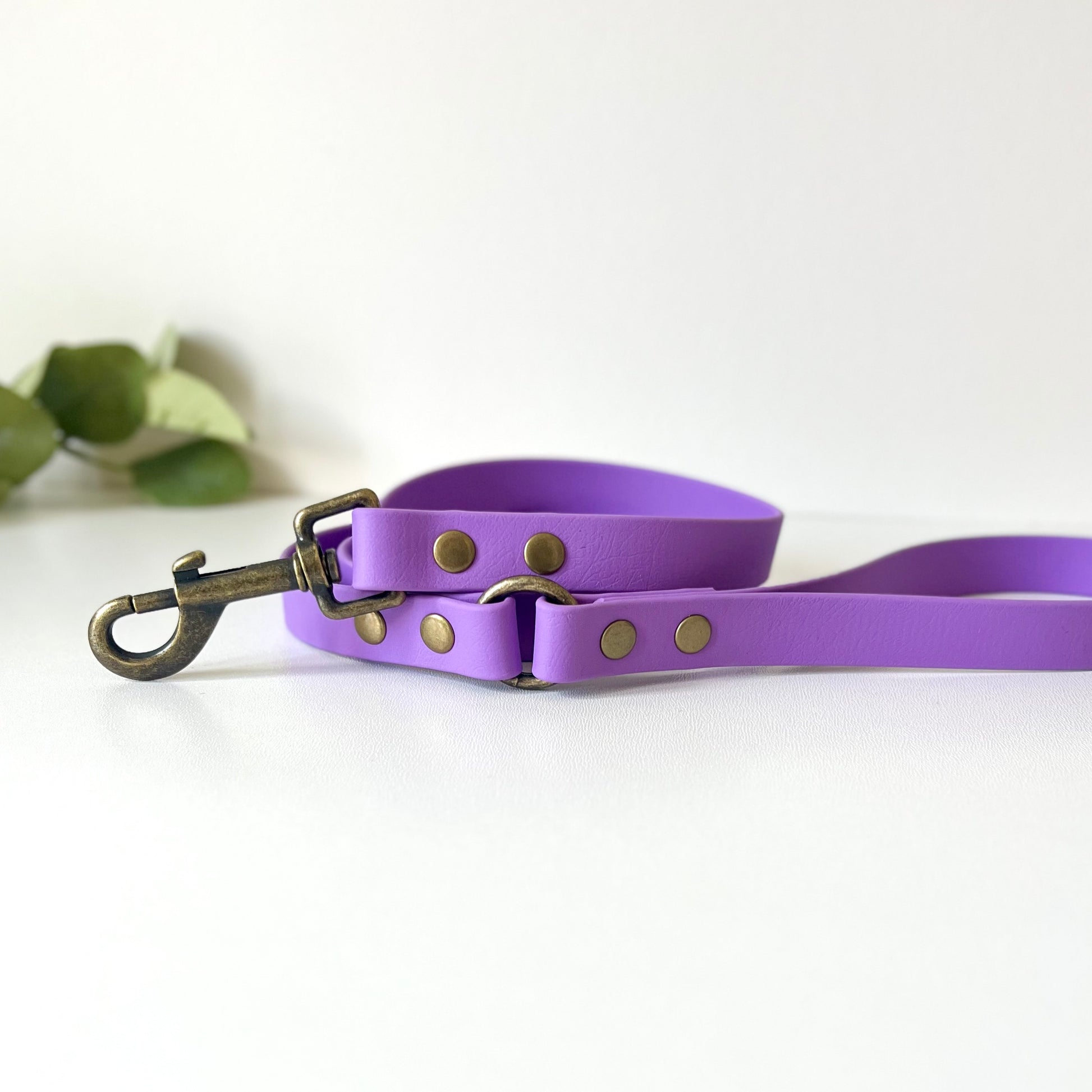 Purple biothane dog lead with antique brass hardware