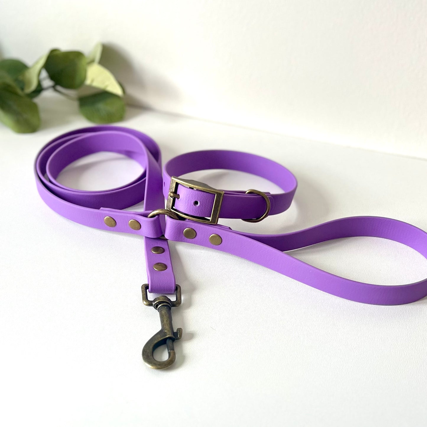 Purple biothane dog collar and lead with antique brass hardware