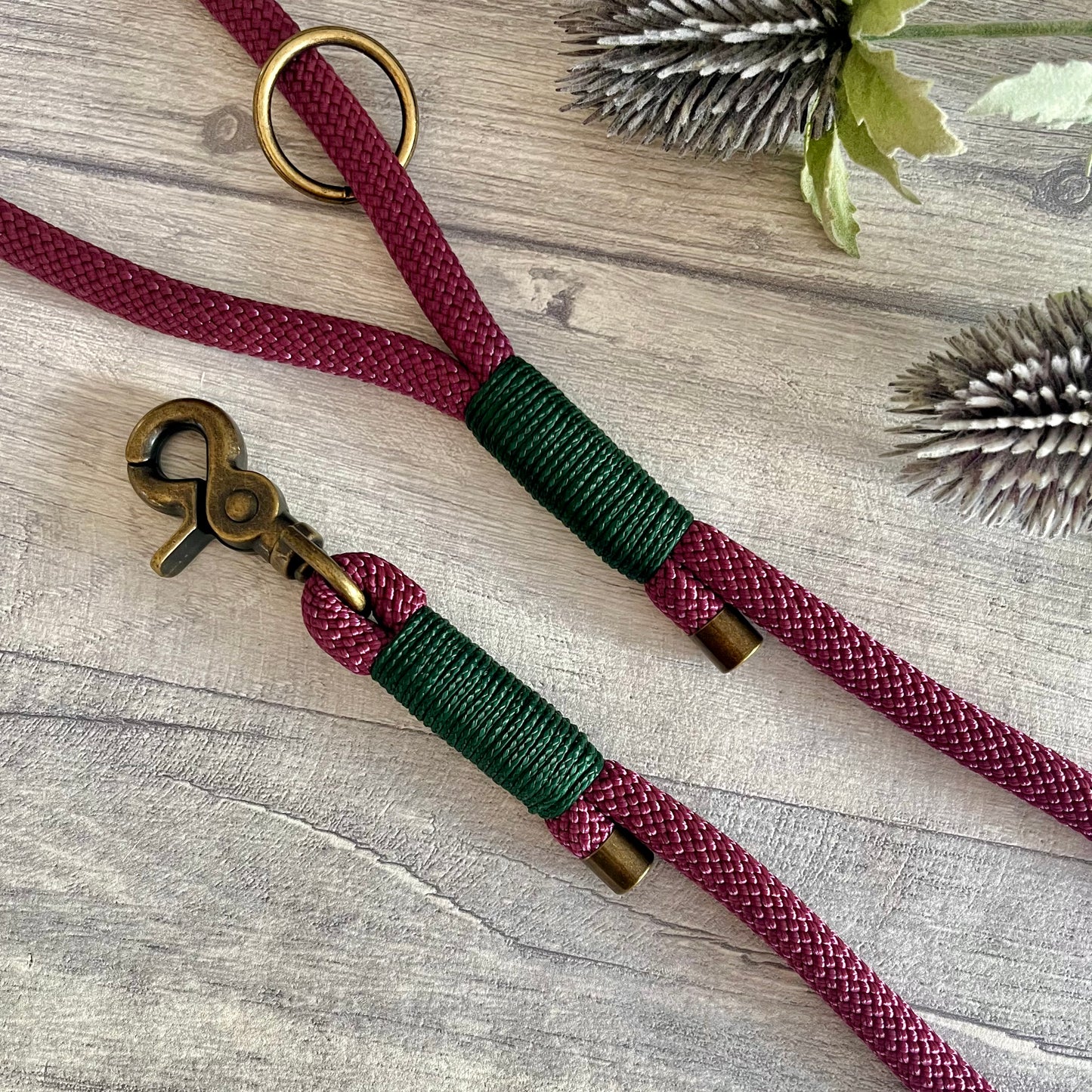 Aubergine Paracord Rope Dog Lead