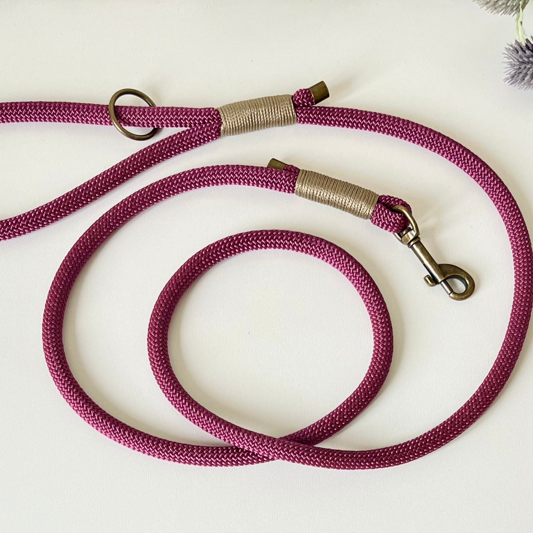 Aubergine rope dog lead with binding and antique brass hardware on a white surface