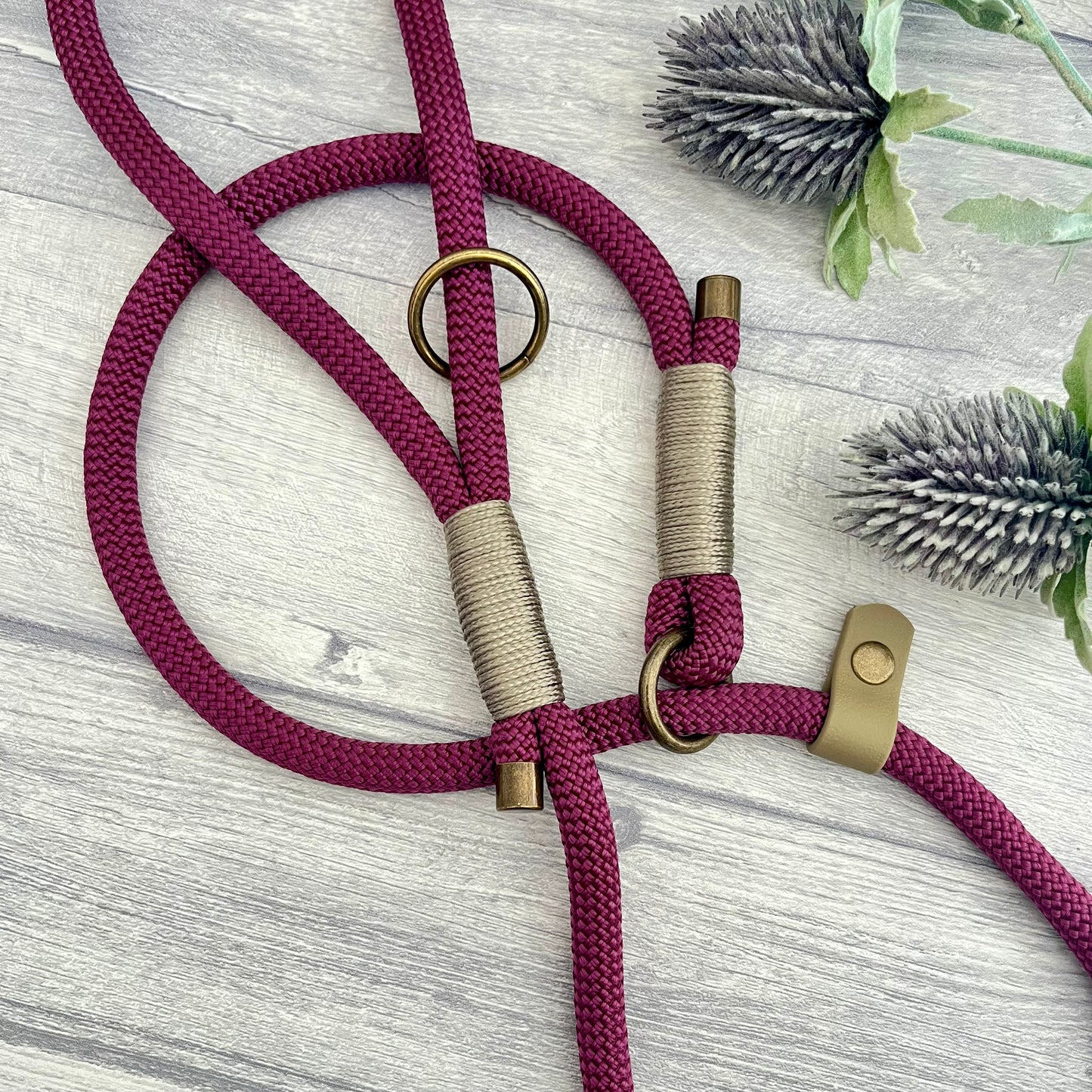 Aubergine Paracord Rope Dog Lead