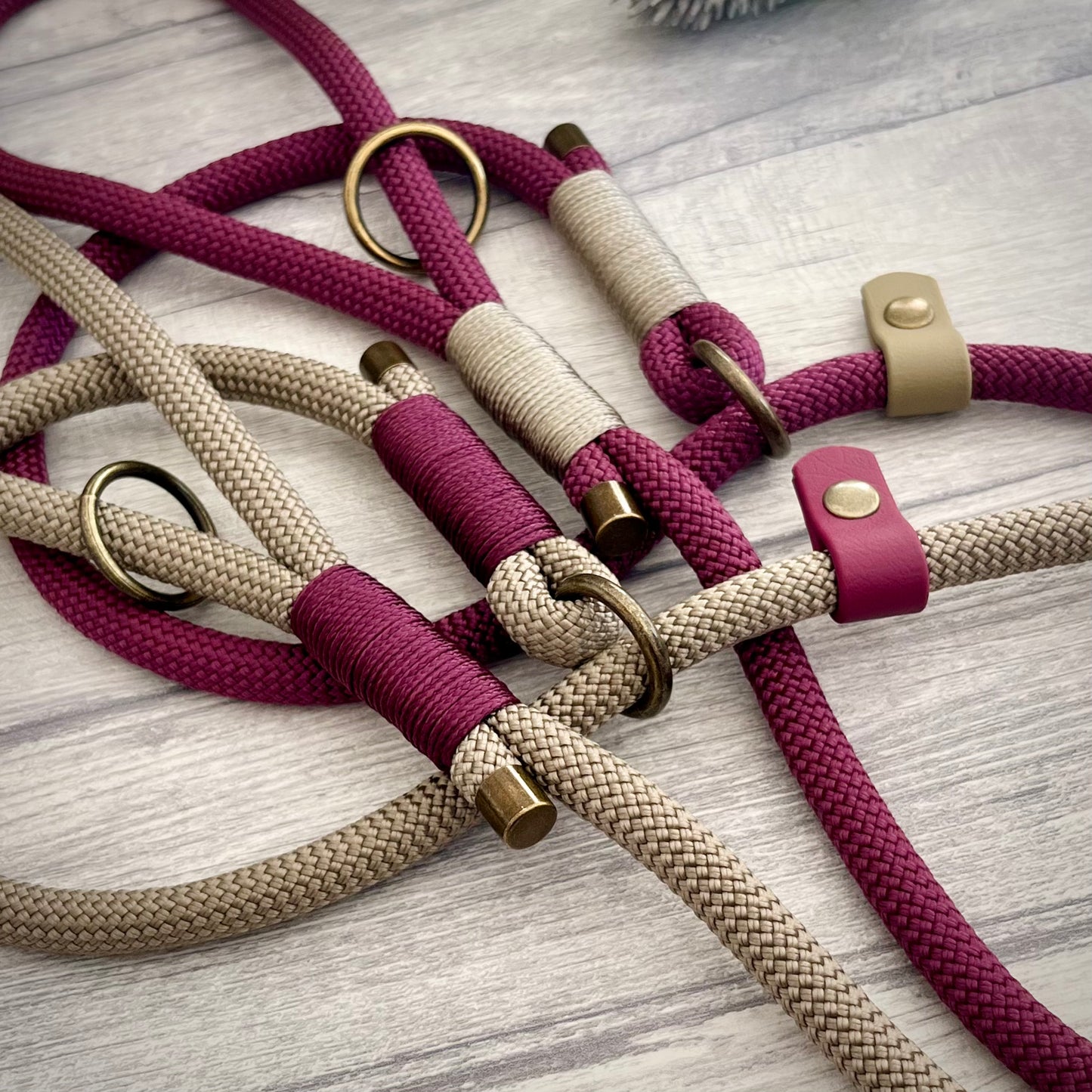 Two rope dog slip leads with binding and antique brass hardware on a white surface