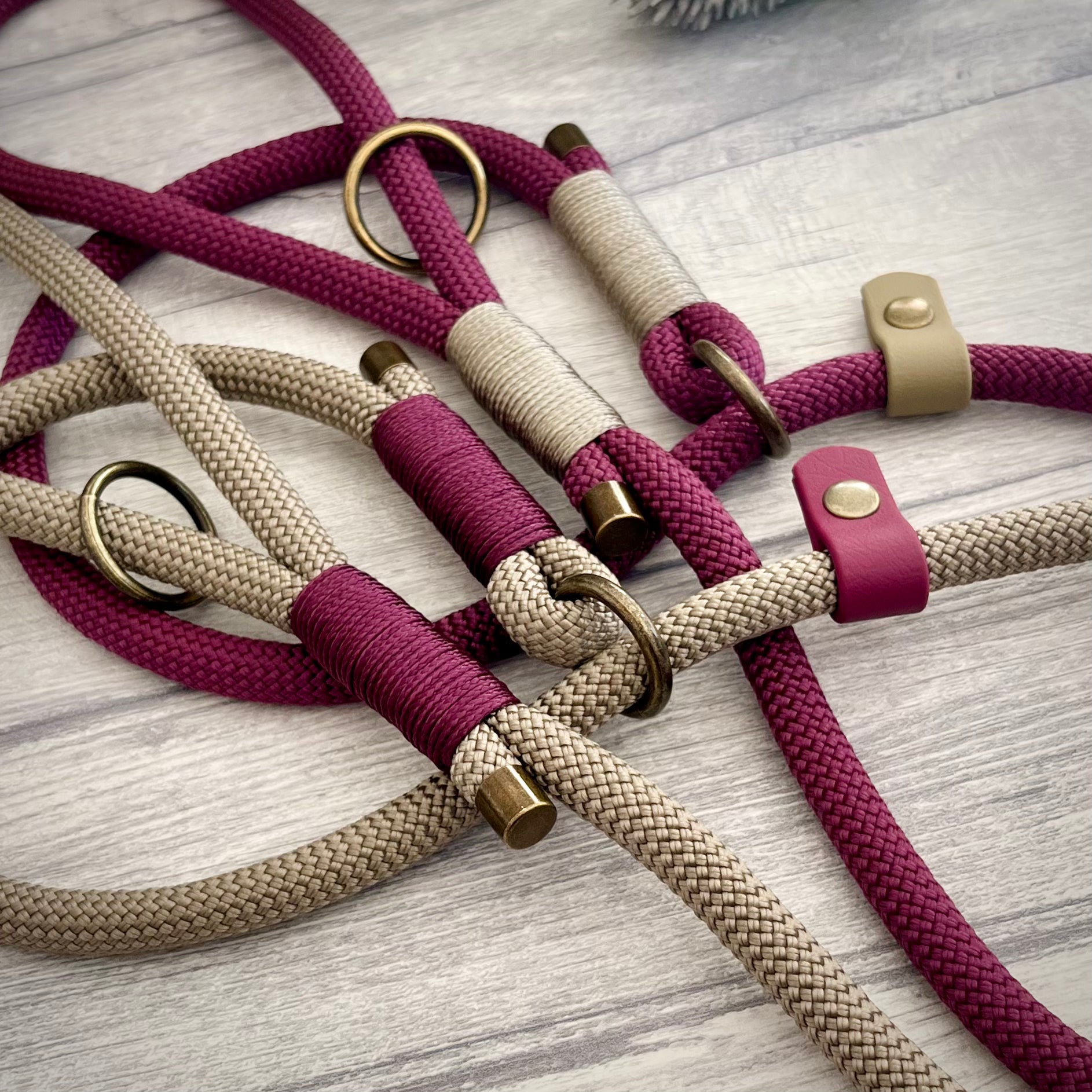 Two rope dog slip leads with binding and antique brass hardware on a white surface
