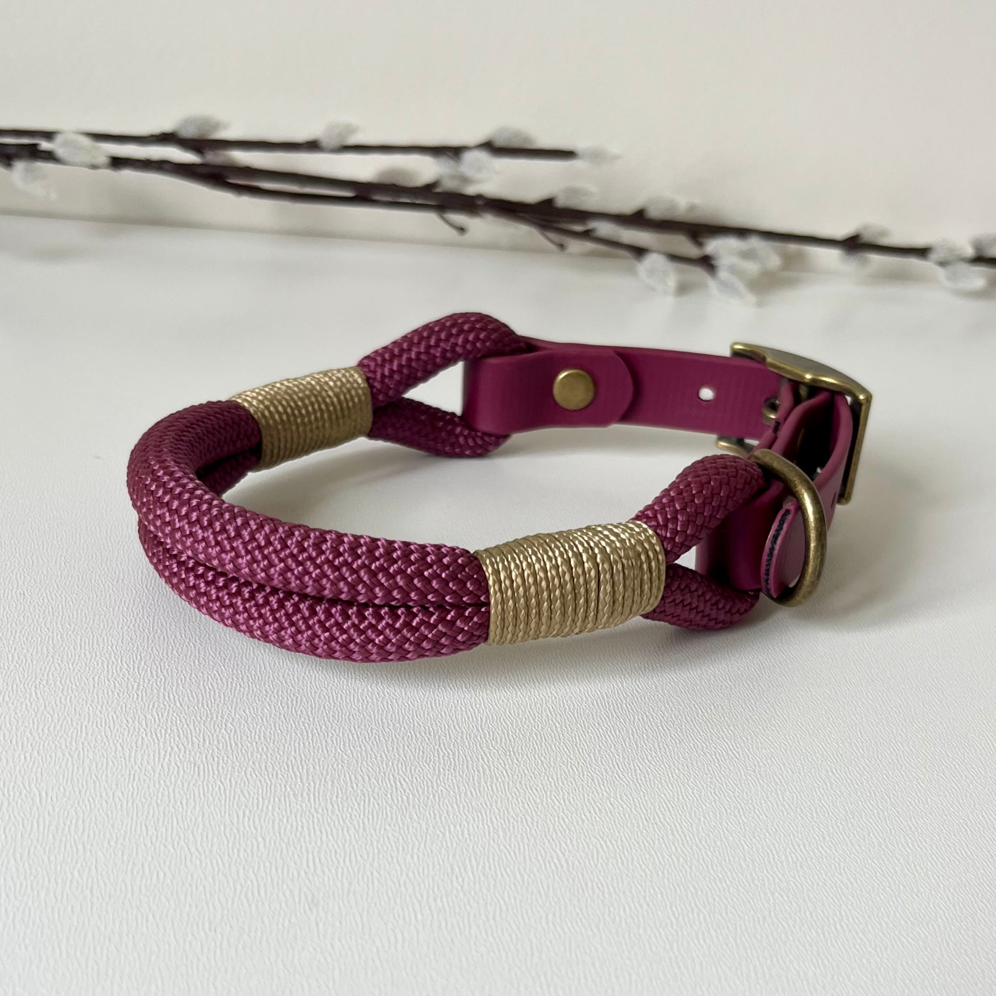 Rope Dog collar with purple and gold braided design on a white background