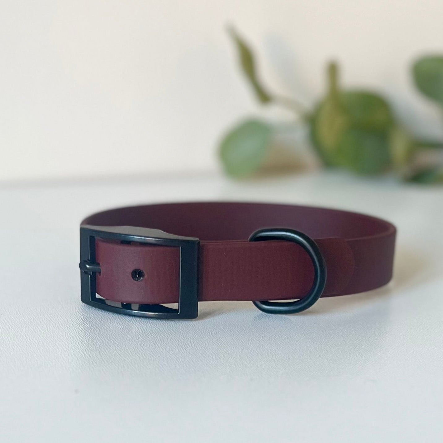brown dog collar with black hardware sitting on a light surface with leaves in the background
