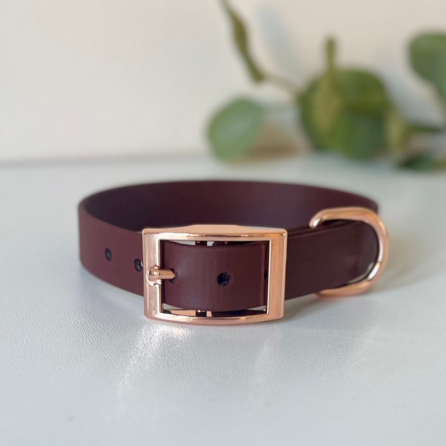brown dog collar with rose gold hardware sitting on a light surface with leaves in the background