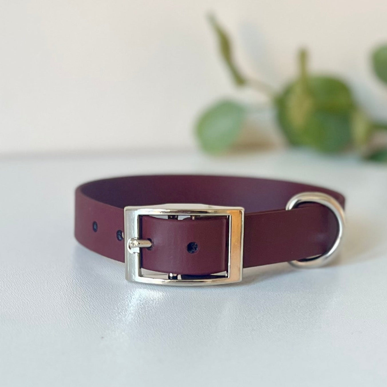 brown dog collar with silver hardware sitting on a light surface with leaves in the background