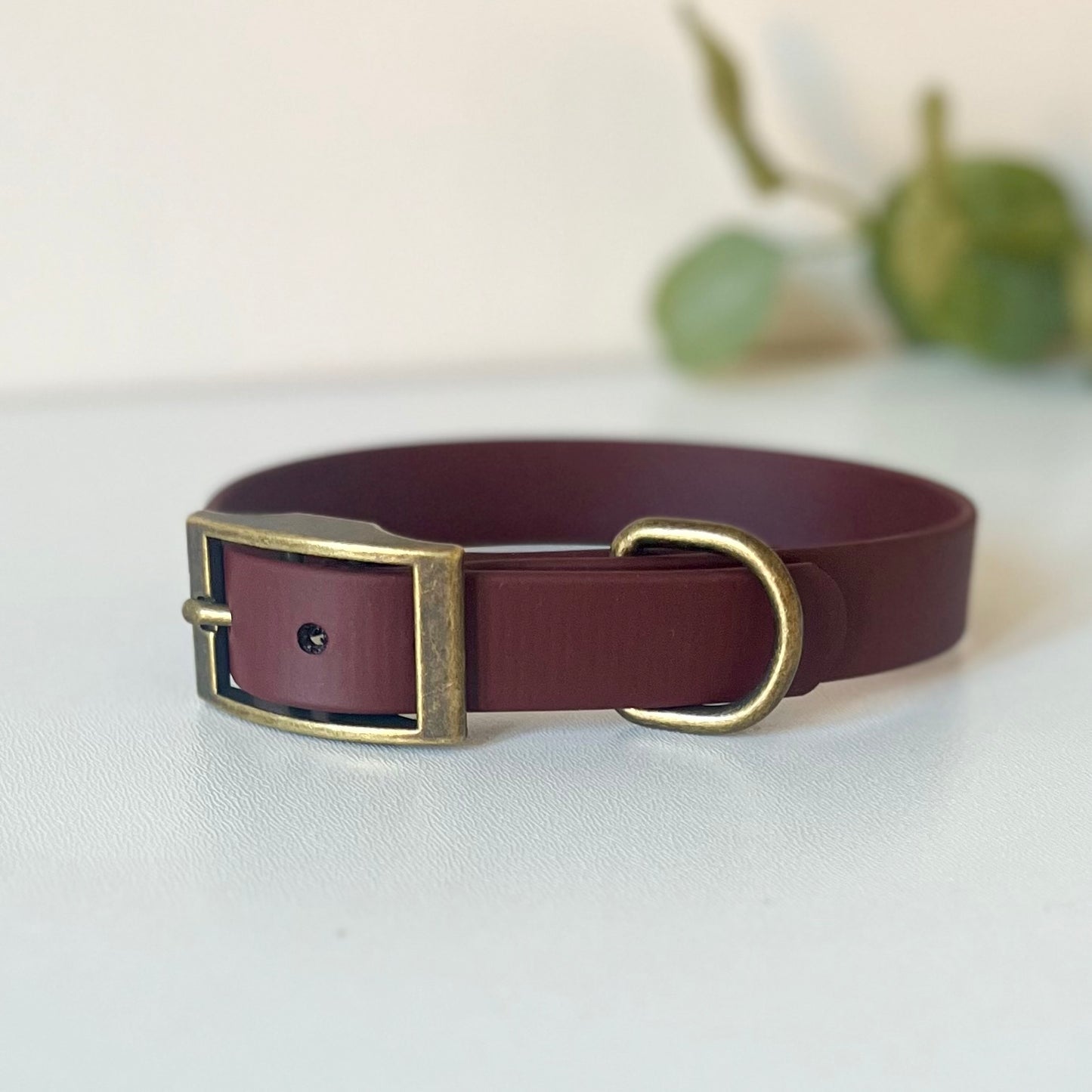 brown dog collar with antique brass hardware sitting on a light surface with leaves in the background
