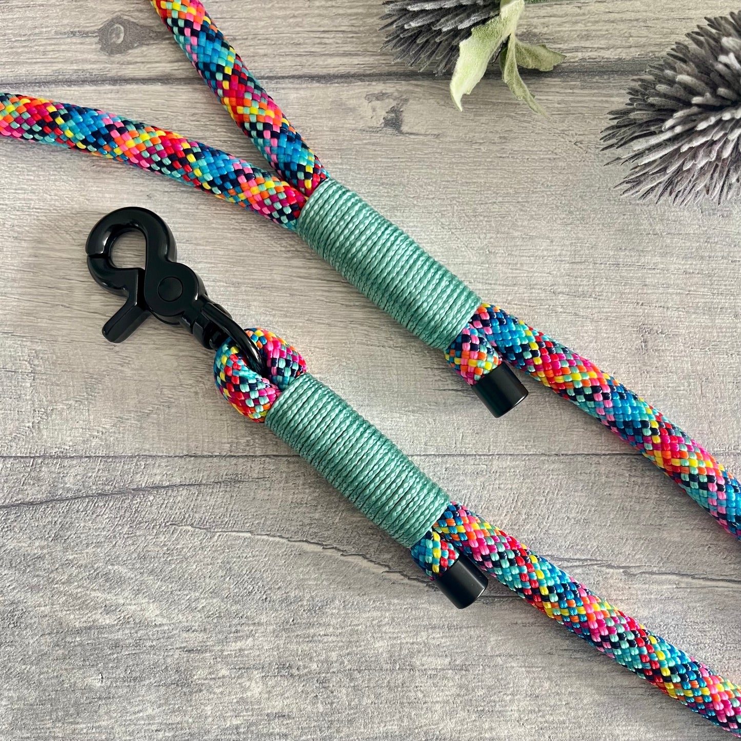 Confetti multi coloured rope lead with Sea Green whipping securing a swivel clip at one end and fastening a handle at the other. The handle has an O-ring attached. Each end of the rope is finished with a metal end cap. All hardware for this lead is in Black