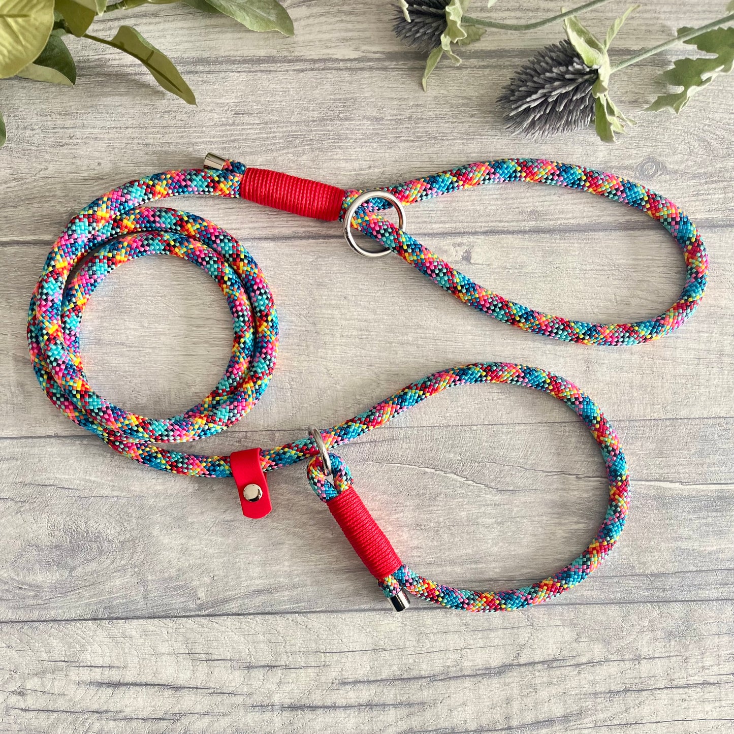 Confetti multi coloured rope slip lead with Red whipping and a BioThane stopper at one end and fastening a handle at the other. The handle has an O-ring attached. Each end of the rope is finished with a metal end cap. All hardware for this lead is in Silver