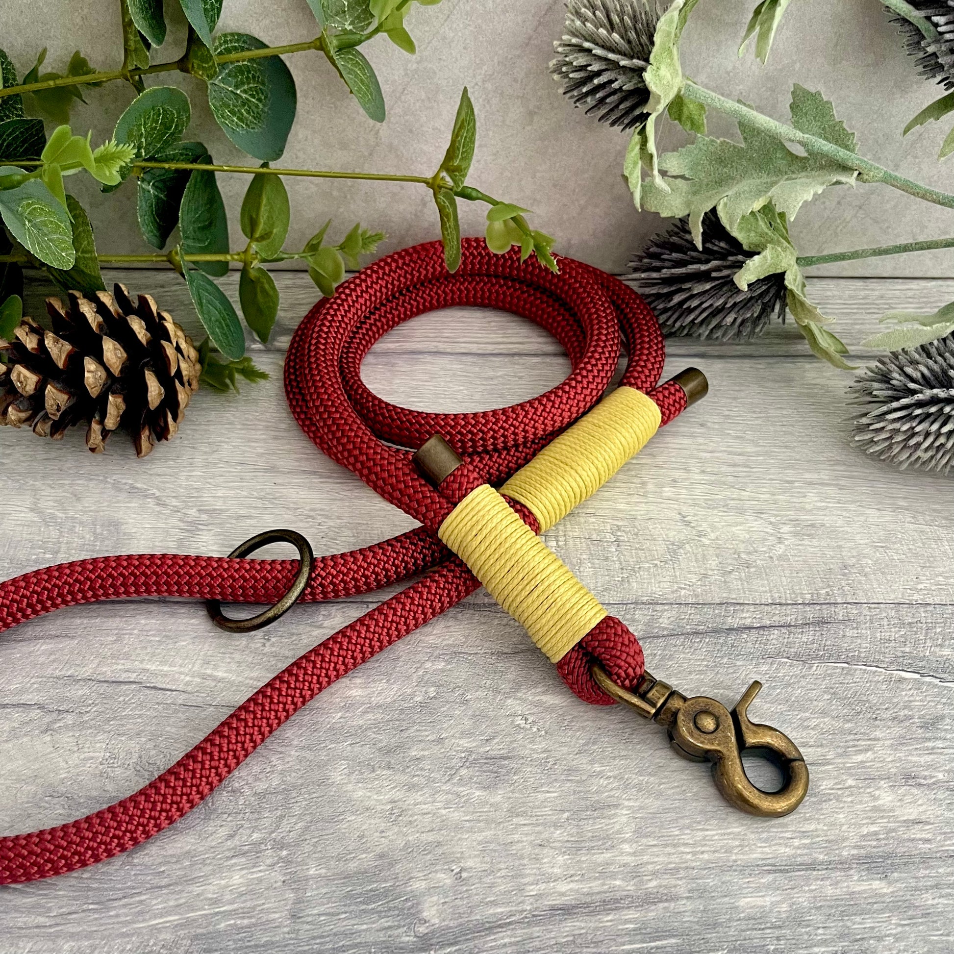 Copper Red Paracord rope lead with Pastel Yellow whipping securing each end together. At each end of the rope there is a metal end cap, a clip to connect to a collar at one end and a O-ring fixed to the handle. All hardware is Antique Brass