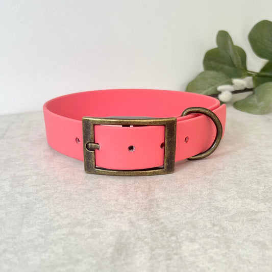 Coral Biothane dog collar with Antique Brass hardware. The collar is fastened with a buckle and has a d-ring. There are 5 punched holes spaced 2cm apart.