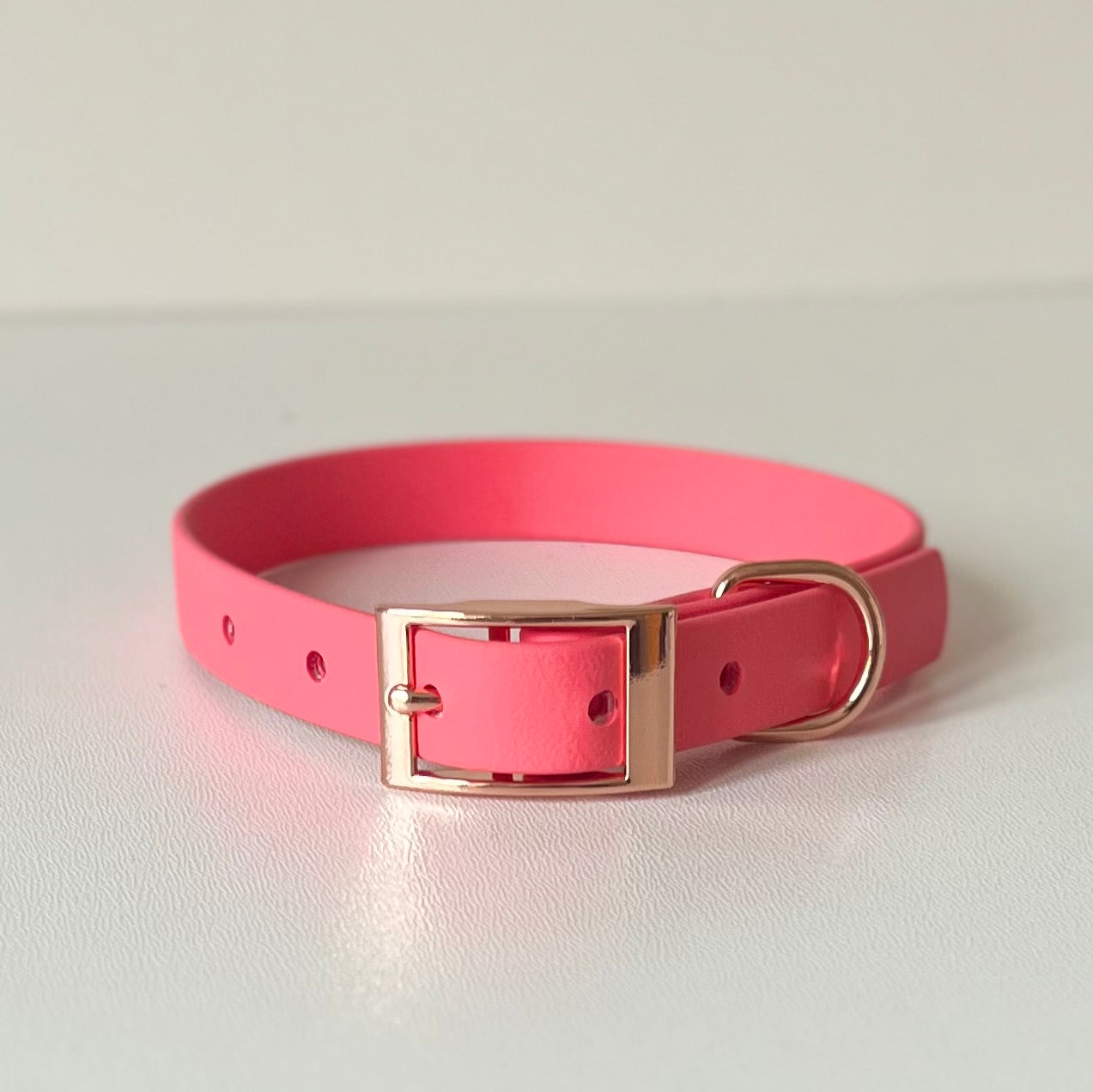 Coral pink Biothane collar with silver hardware