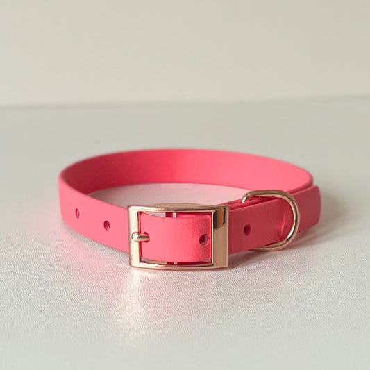 Coral pink Biothane collar with silver hardware
