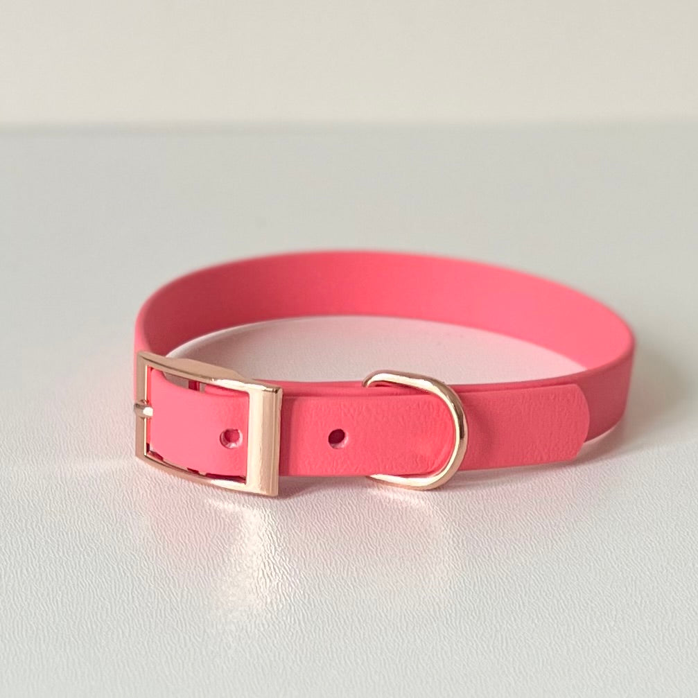 Coral pink Biothane collar with silver hardware