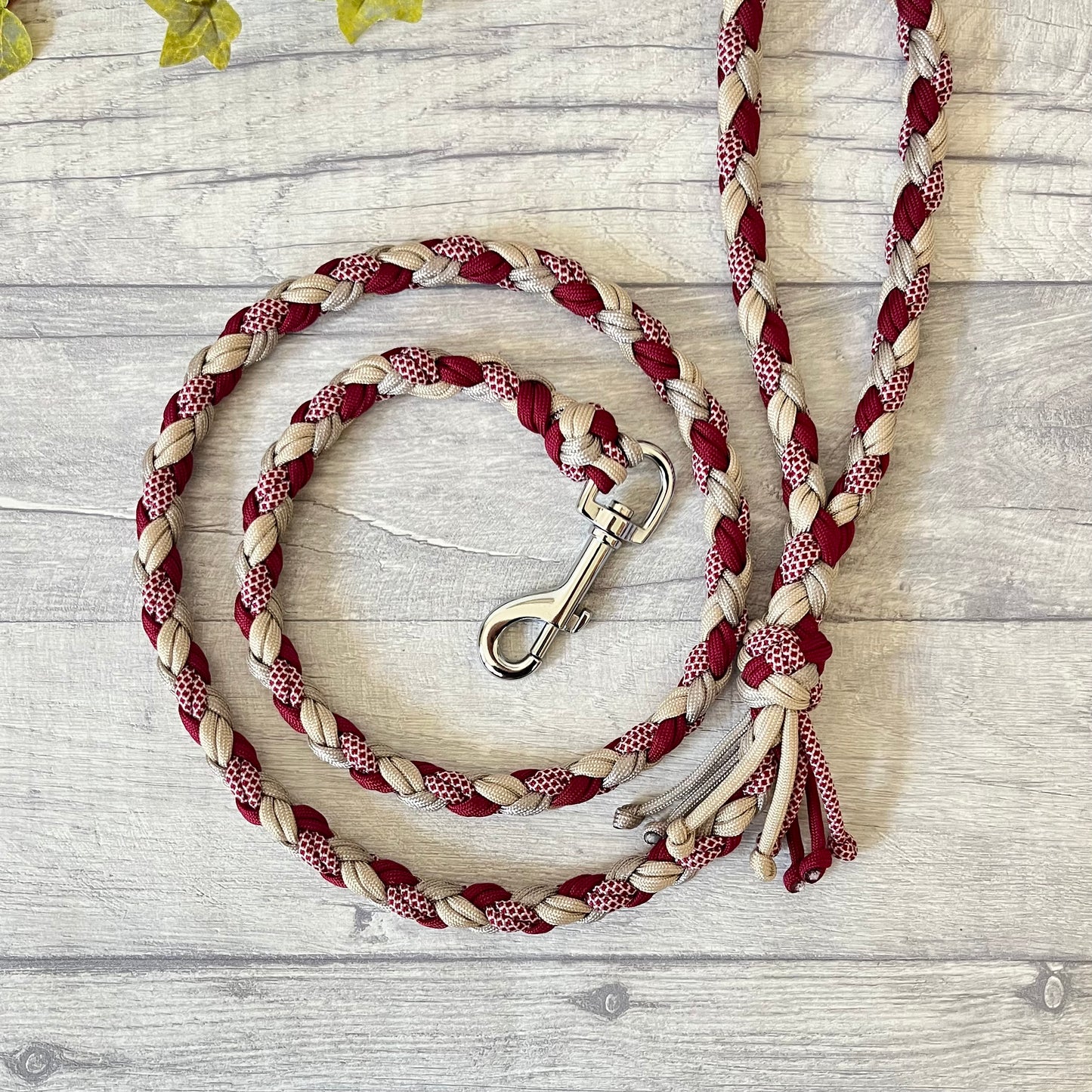 Crimson Dune Braided Rope Dog Lead