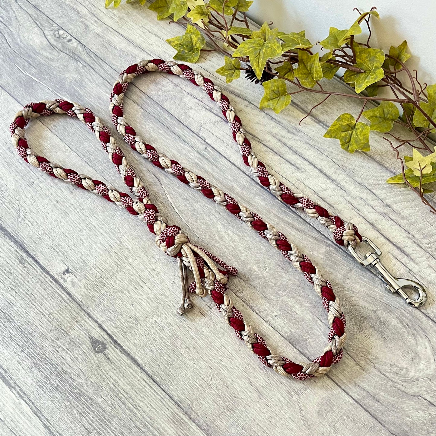 Crimson Dune Braided Rope Dog Lead