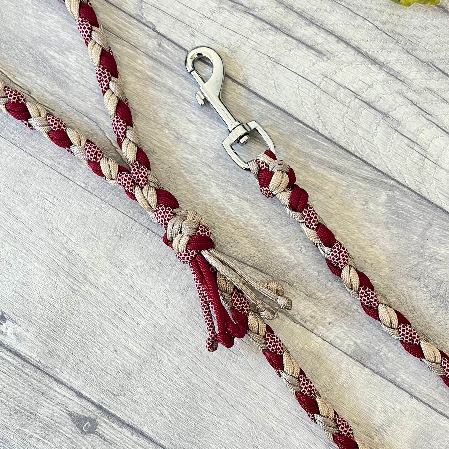 Crimson Dune Braided Rope Dog Lead