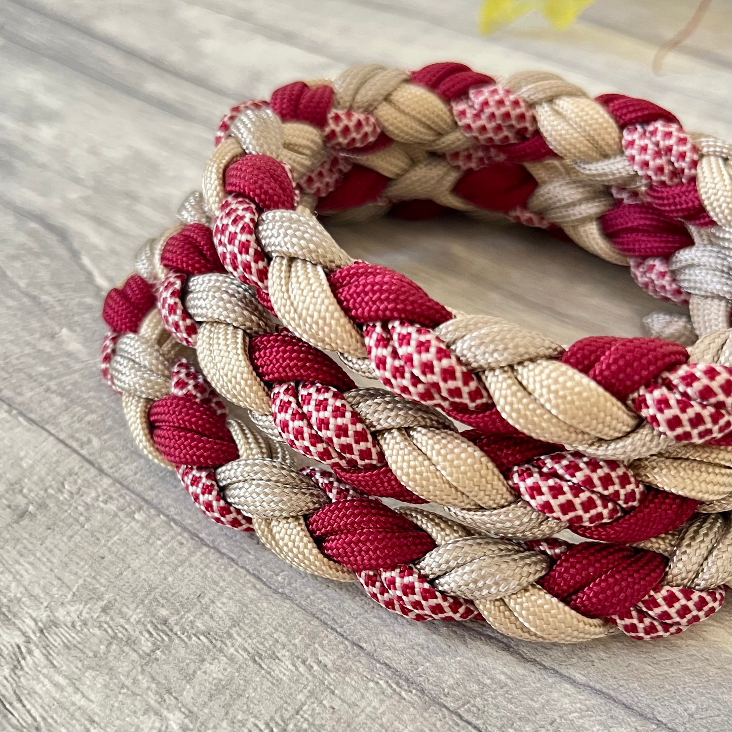 Crimson Dune Braided Rope Dog Lead