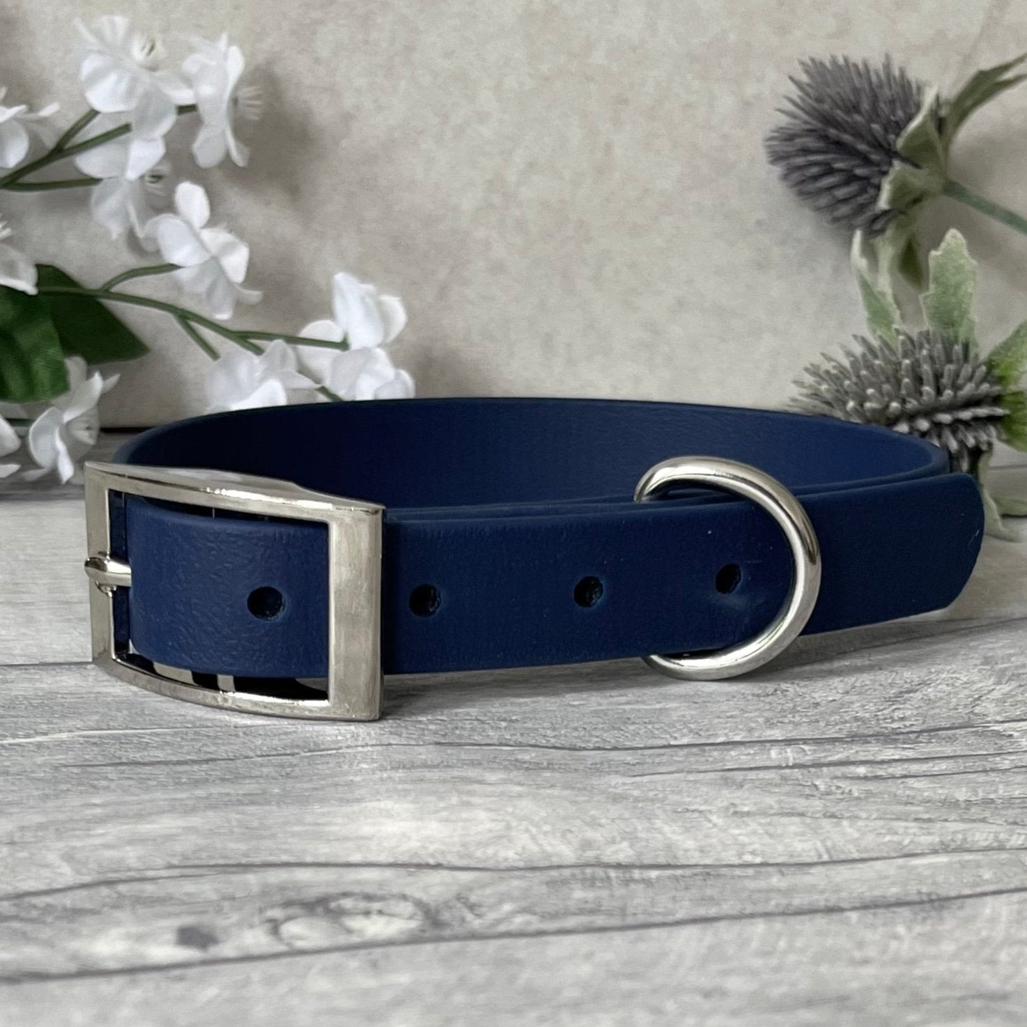 Navy Biothane dog collar with Silver hardware. The collar is fastened with a buckle and has a d-ring. There are 5 punched holes spaced 2cm apart.