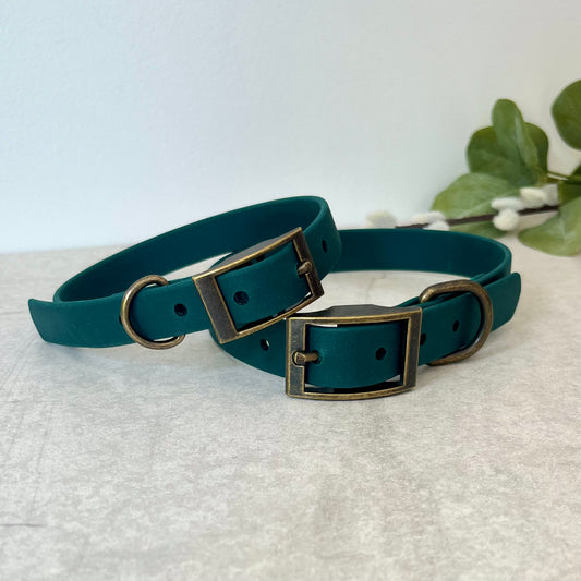 Two Dark Green Biothane dog collars with Antique Brass hardware. The collar is fastened with a buckle and has a d-ring. There are 5 punched holes spaced 2cm 