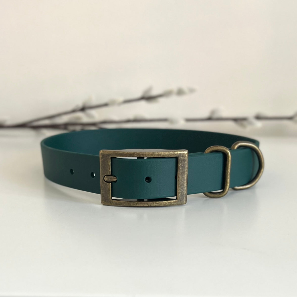 A dark green biothane dog collar with an antique bronze rectangular buckle and D-ring, displayed on a white surface with a soft-focus branch in the background.