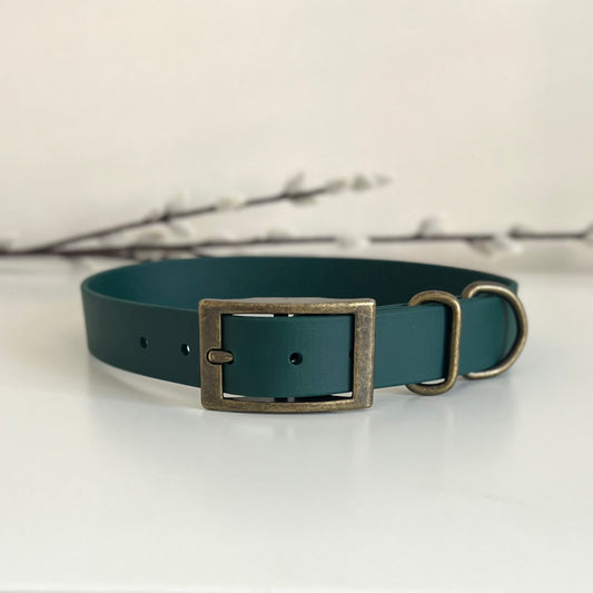 A dark green biothane dog collar with an antique bronze rectangular buckle and D-ring, displayed on a white surface with a soft-focus branch in the background.