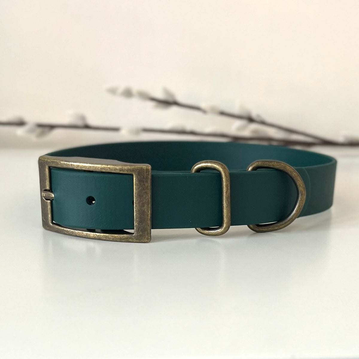 A dark green biothane dog collar with an antique bronze rectangular buckle and D-ring, displayed on a white surface with a soft-focus branch in the background.
