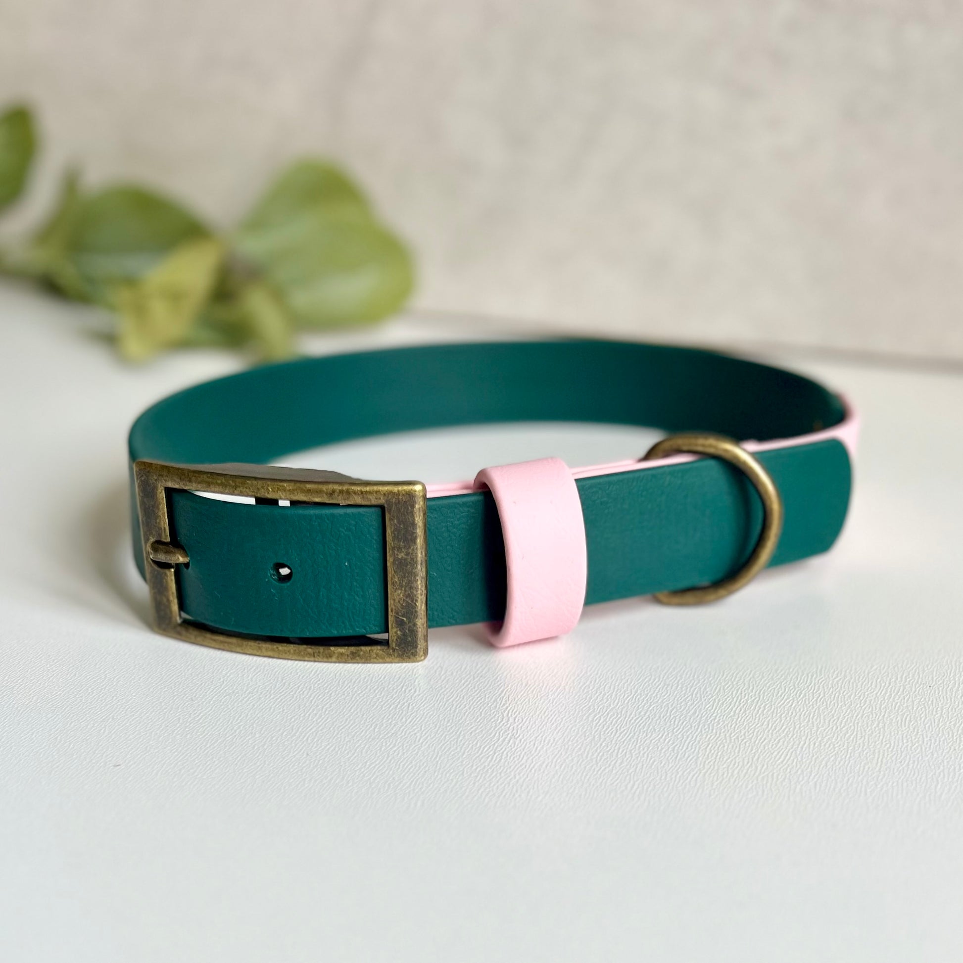 Dark Green and Light Pink biothane dog collar on a light background