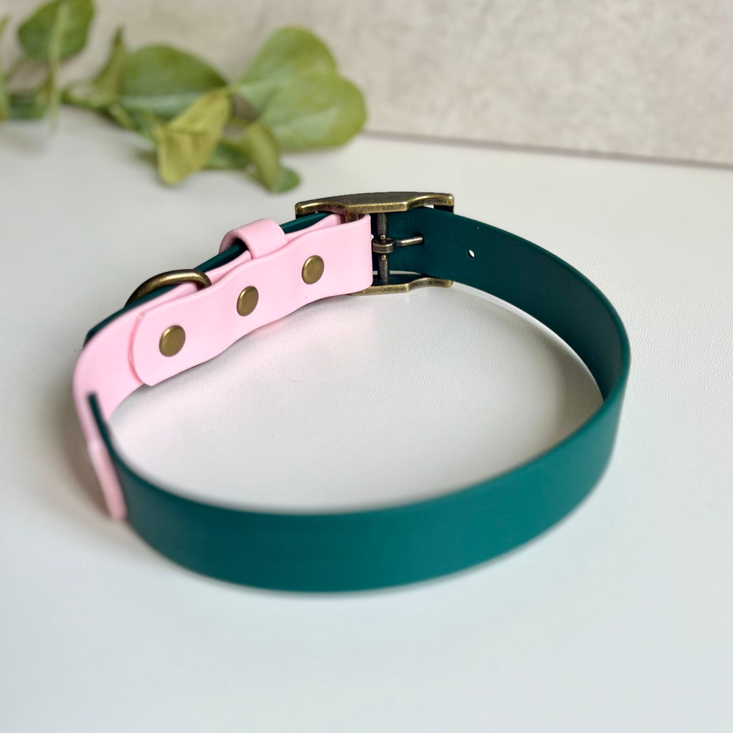 Dark Green and Light Pink biothane dog collar on a light background