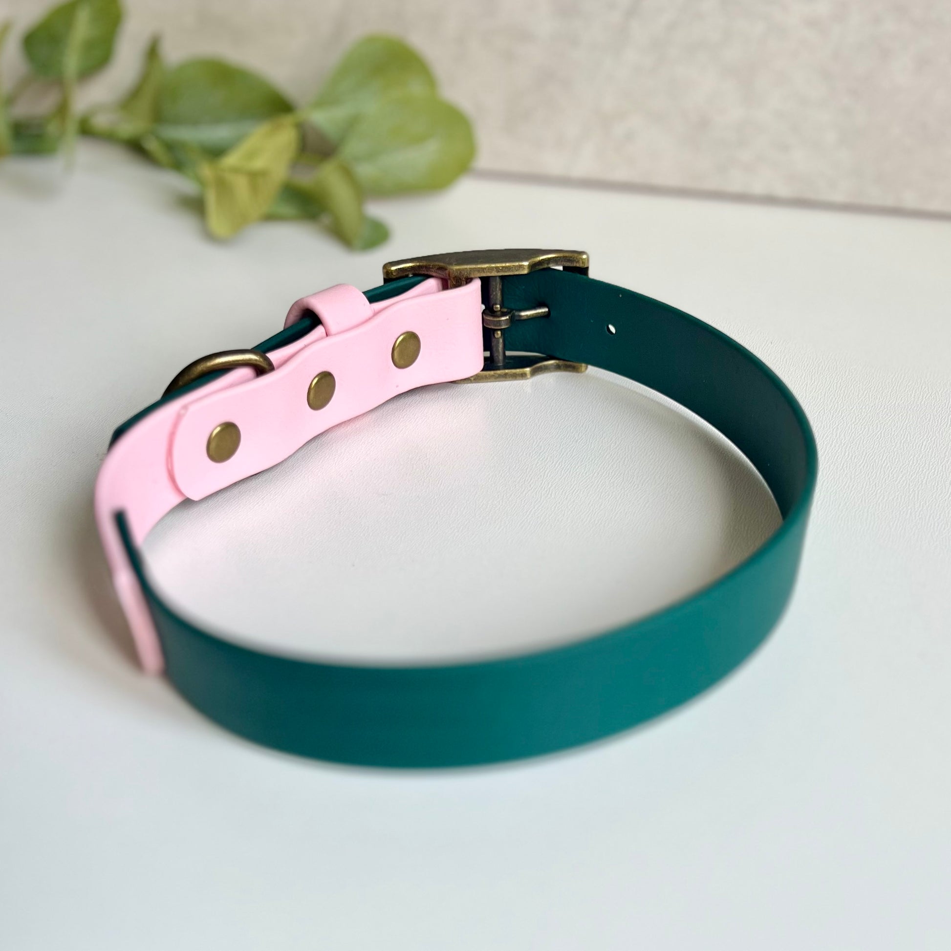 Dark Green and Light Pink biothane dog collar on a light background