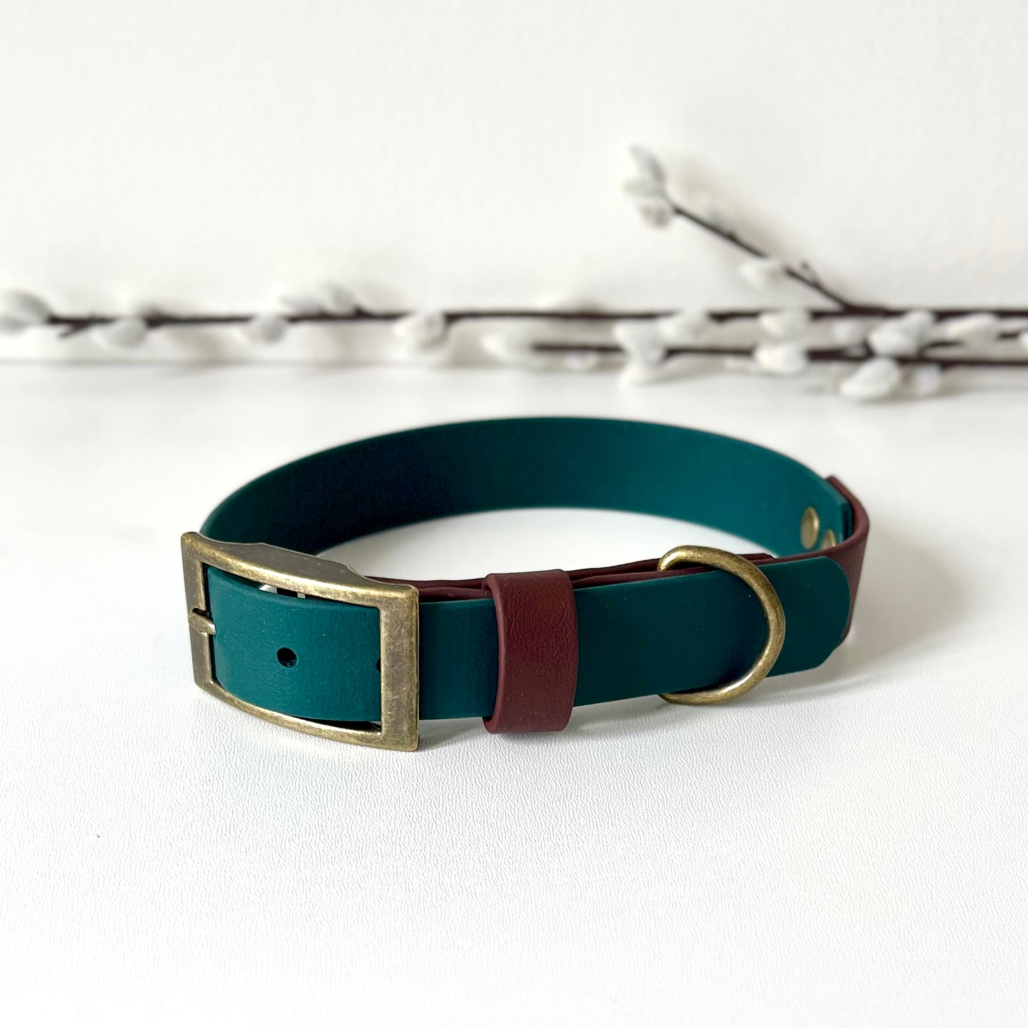 A dark green dog collar with brown strap keeper and antique brass hardware