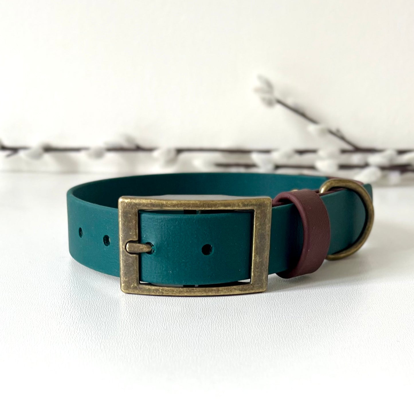 A dark green dog collar with brown strap keeper and antique brass hardware sitting on a white surface