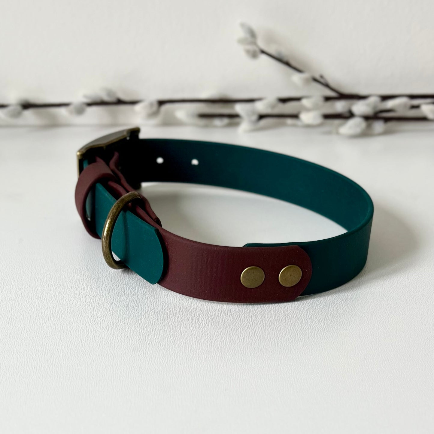 A dark green dog collar with brown strap keeper and antique brass hardware