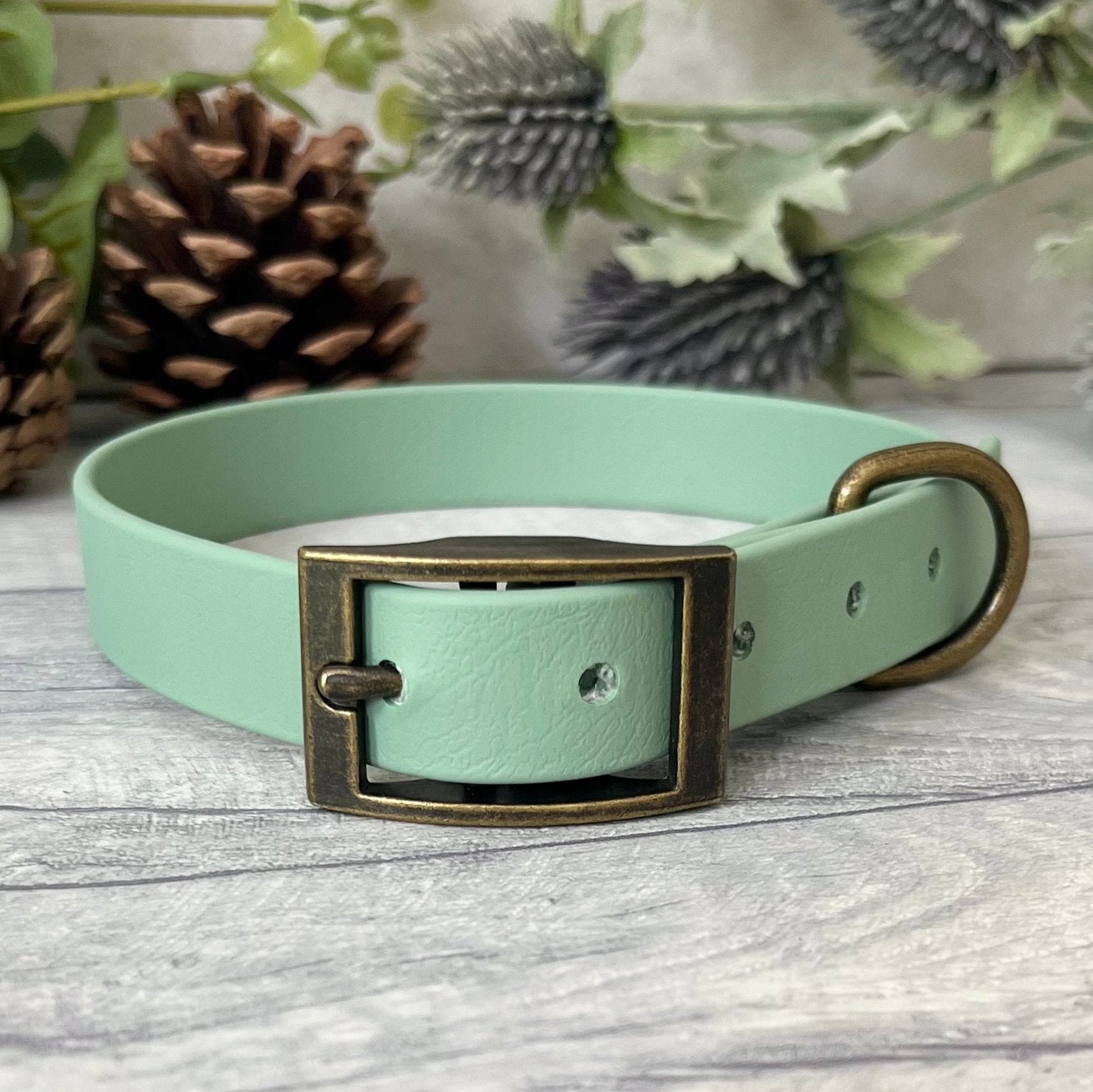 Biothane custom collar in Sage Green with Antique Brass buckle and a D-ring. The collar has 5 holes which are spaced 2cm apart. Soft leather appearance