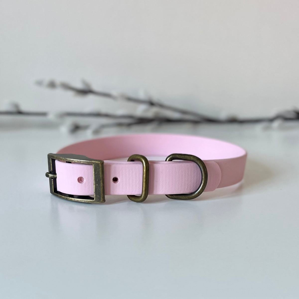 A light pink dog collar with antique bronze hardware, displayed on a clean white surface with a soft-focus branch in the background.
