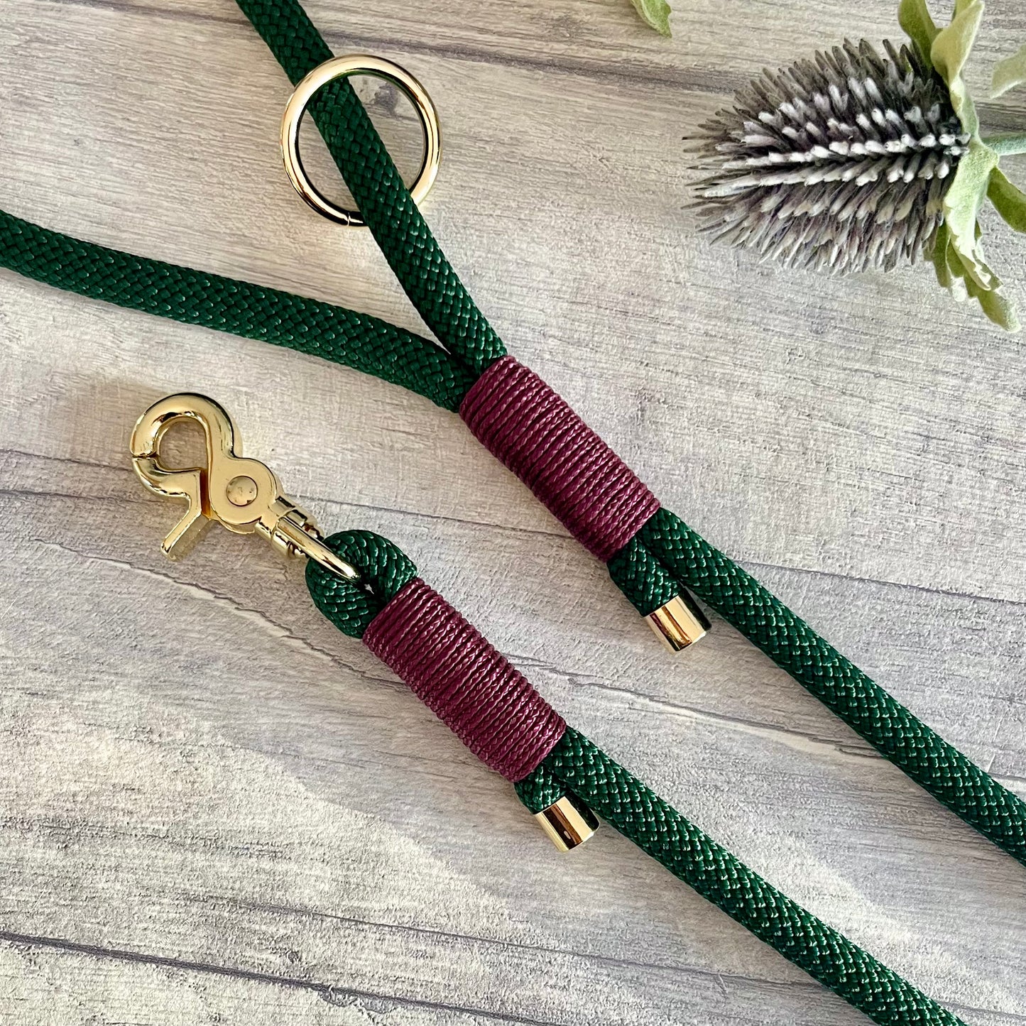 Dark Green rope dog lead with Aubergine coloured whipping securing a swivel clip at one end and fastening a handle at the other. The handle has an O-ring attached. Each end of the rope is finished with a metal end cap. All hardware for this lead is in Gold