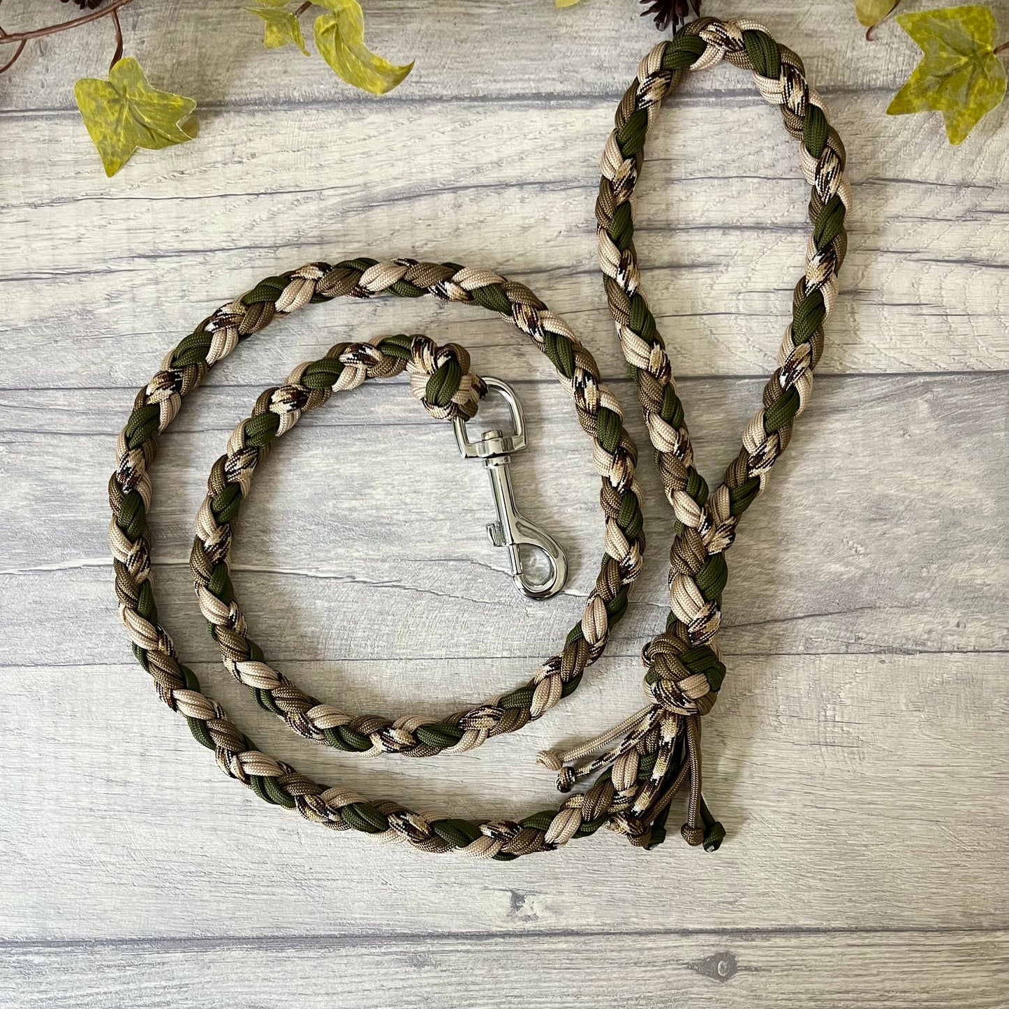 Forest Path Braided Rope Dog Lead