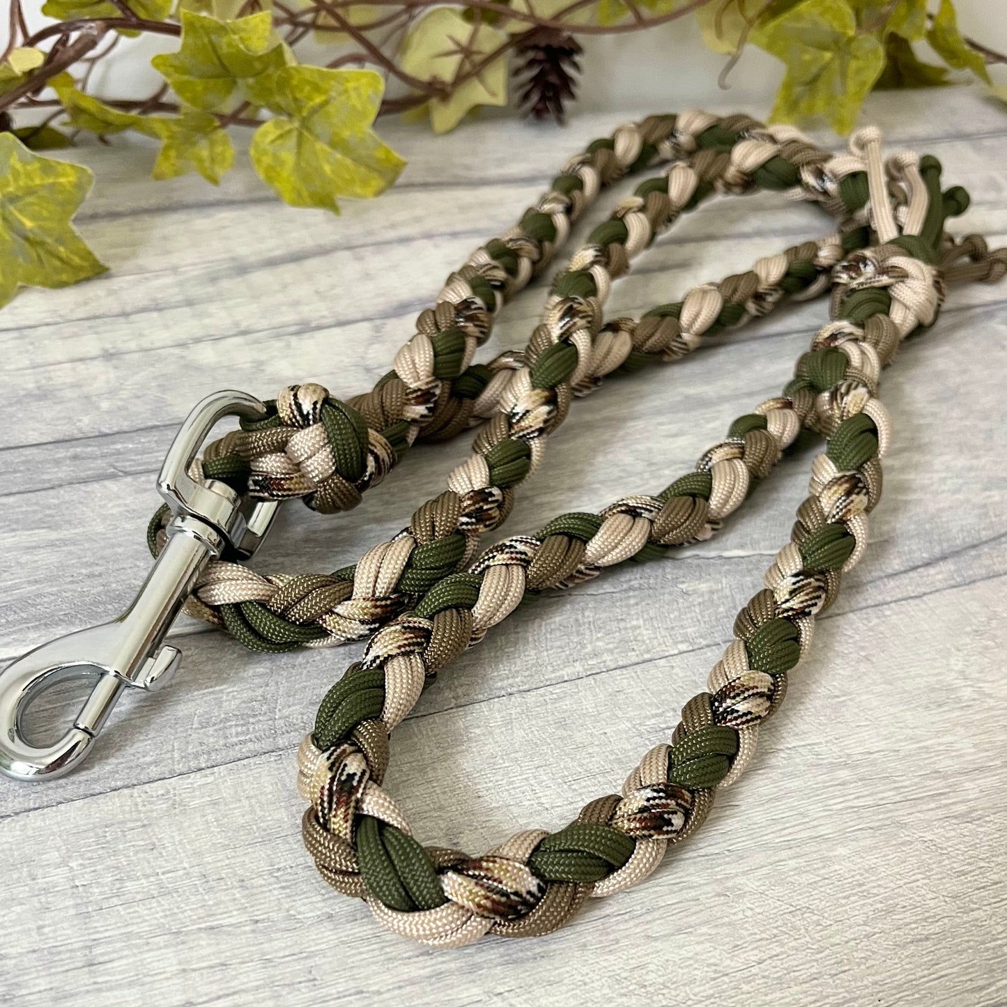 Forest Path Braided Rope Dog Lead