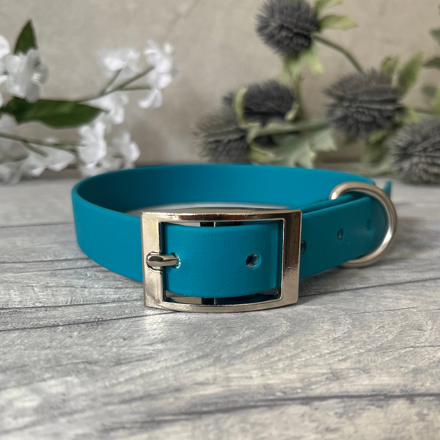 Biothane custom collar in Lagoon Blue with Silver buckle and aD-ring. The collar has 5 holes which are spaced 2cm apart. Soft leather appearance