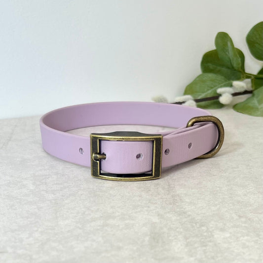 Lavender Biothane dog collar with Antique Brass hardware. The collar is fastened with a buckle and has a d-ring. There are 5 punched holes spaced 2cm apart.