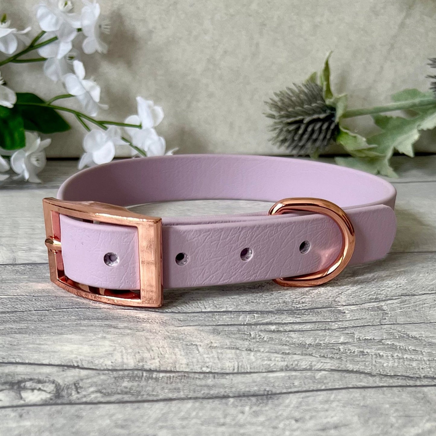 Lavender Biothane dog collar with Rose Gold hardware. The collar is fastened with a buckle and has a d-ring. There are 5 punched holes spaced 2cm apart.