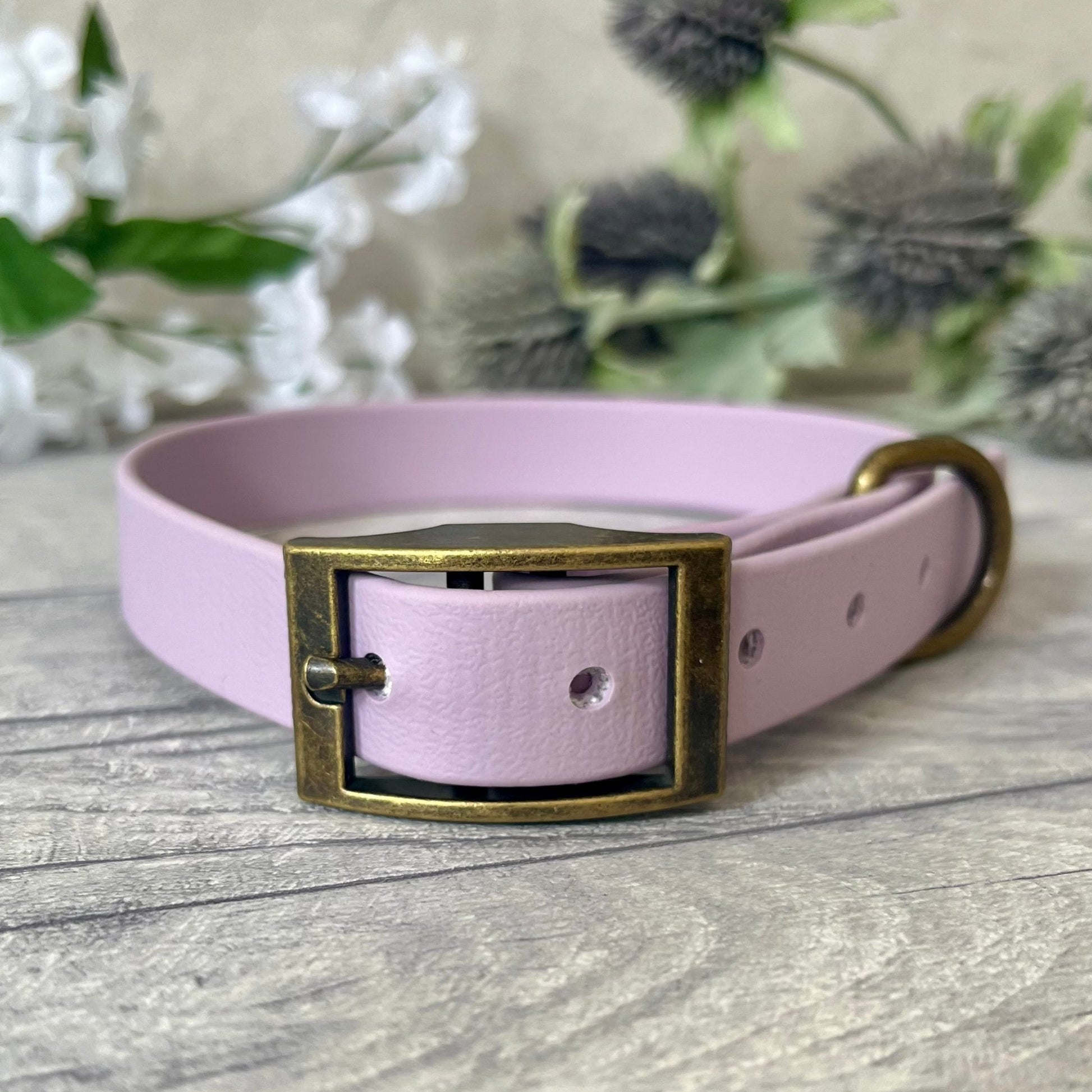 Lavender Biothane dog collar with Antique Brass hardware. The collar is fastened with a buckle and has a d-ring. There are 5 punched holes spaced 2cm apart.