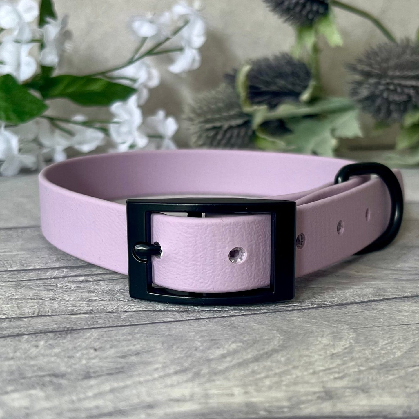 Lavender Biothane dog collar with Black hardware. The collar is fastened with a buckle and has a d-ring. There are 5 punched holes spaced 2cm apart.