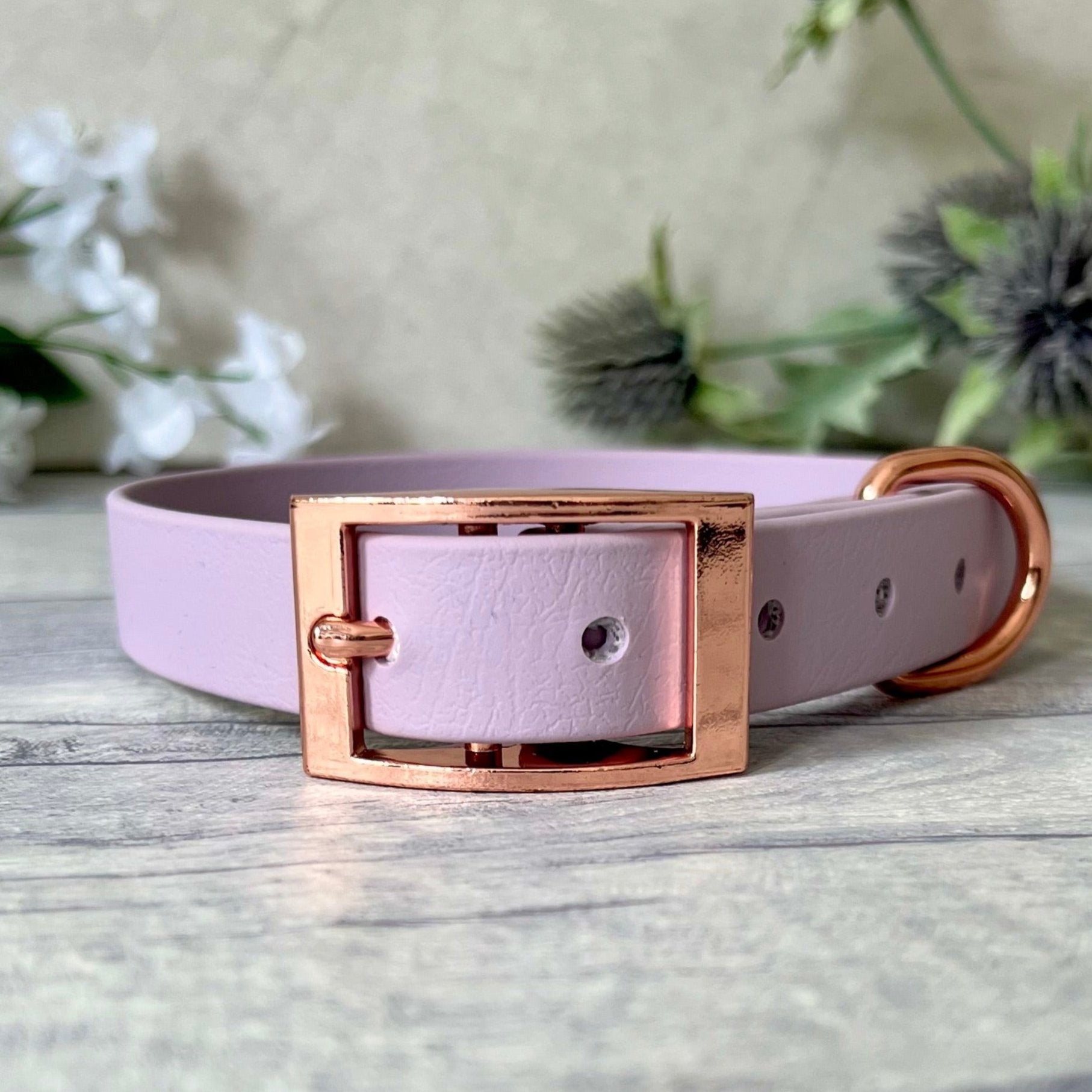 Lavender Biothane dog collar with Rose Gold hardware. The collar is fastened with a buckle and has a d-ring. There are 5 punched holes spaced 2cm apart.