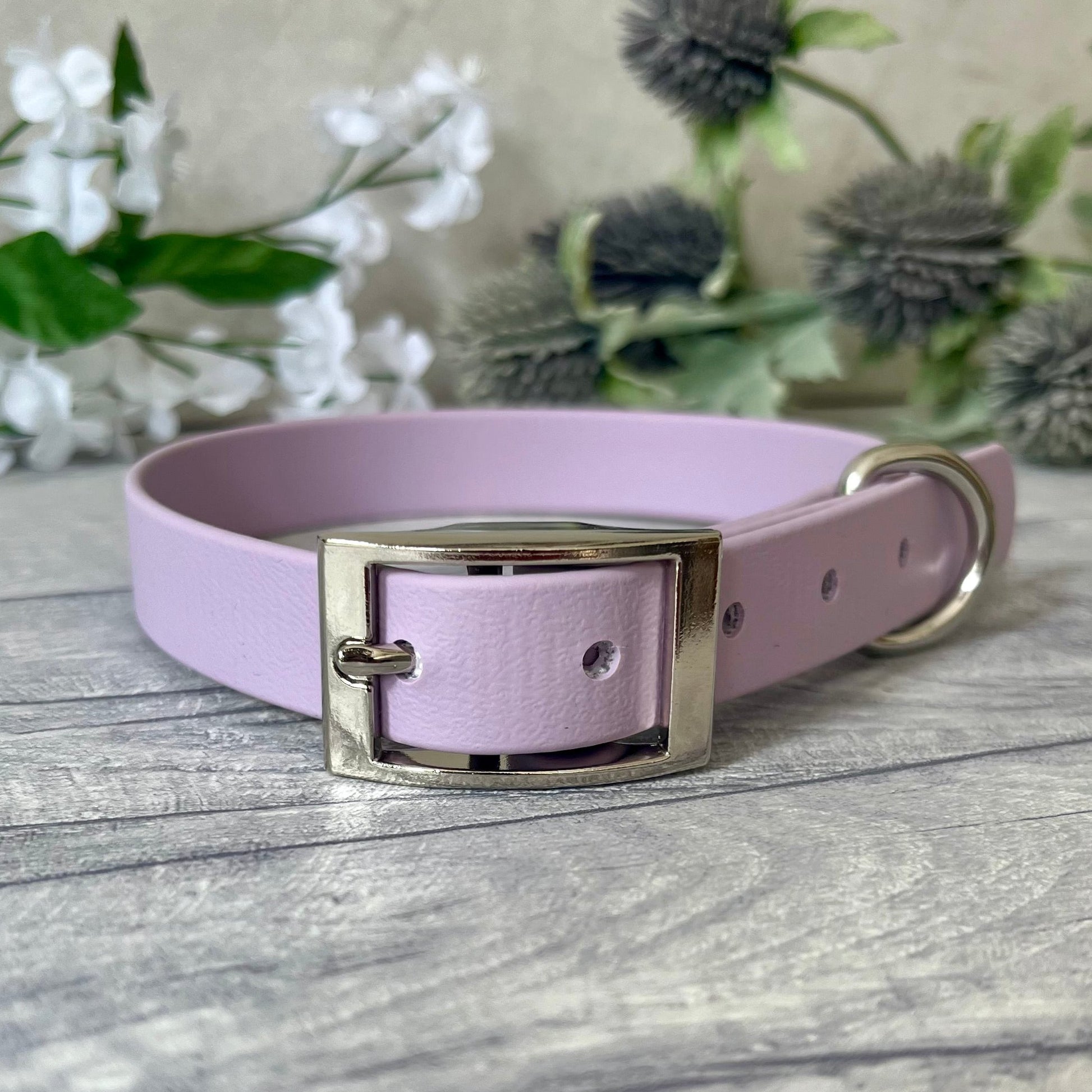 Lavender Biothane dog collar with Silver hardware. The collar is fastened with a buckle and has a d-ring. There are 5 punched holes spaced 2cm apart.