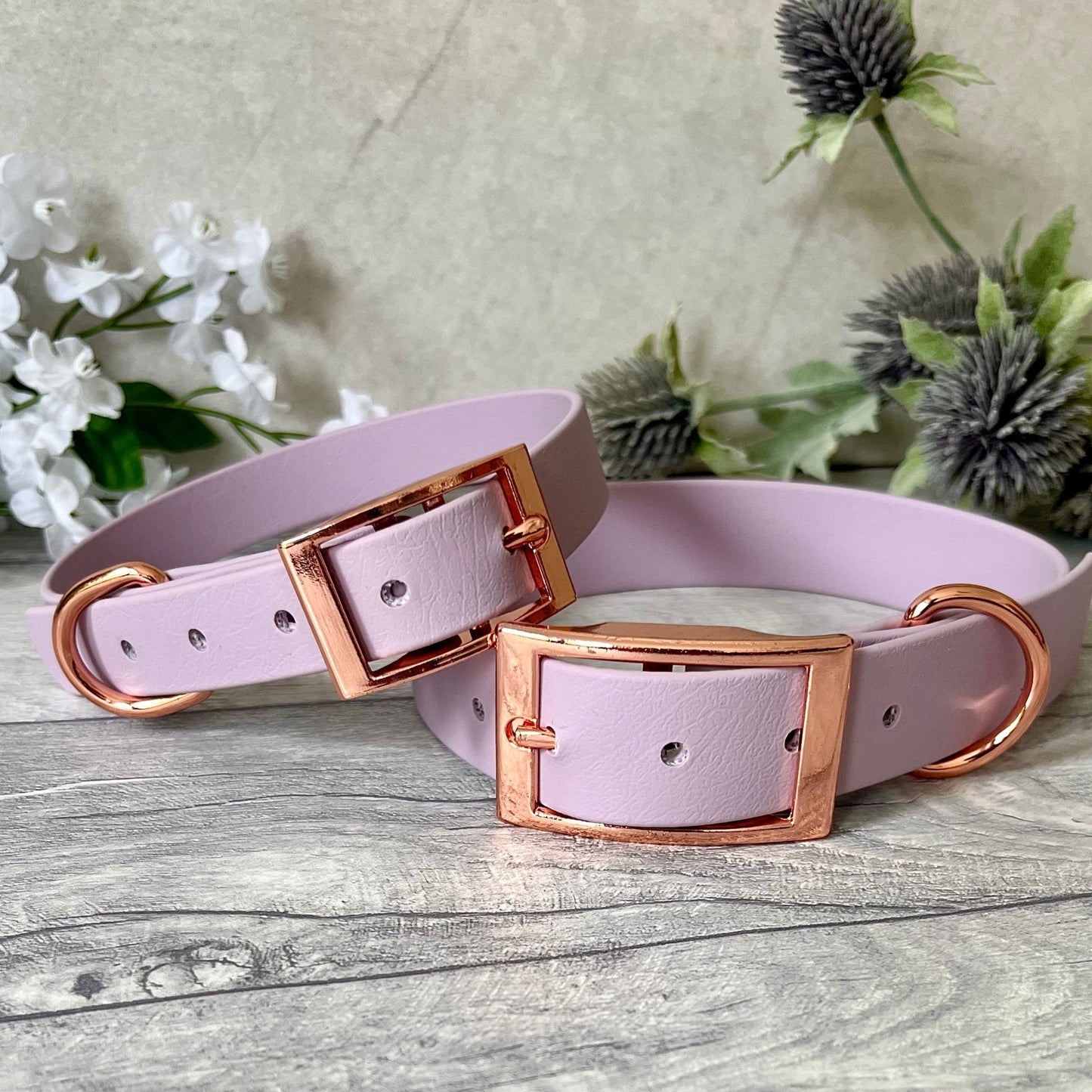 Two Lavender Biothane dog collars with Rose Gold hardware. The collars are fastened with a buckle and has a d-ring. Each collar have 5 punched holes spaced 2cm apart.