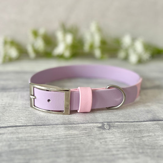 Two tone dog collar in Lavender & Light Pink. The collar strap is two colours fixed together with a rivet. The collar has a Biothane strap keeper and a metal D-ring with 5 x punched holes. All hardware is Silver